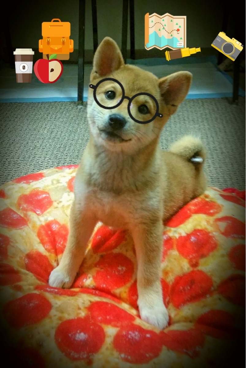 FB体育下载-劲爆对决:双方对攻如火如荼,胜负难料,劲爆战队第四季