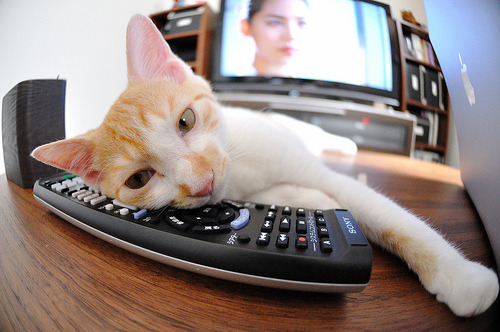 fb体育在线官网-国米连续三场零封对手,国米连续3年小组赛出局