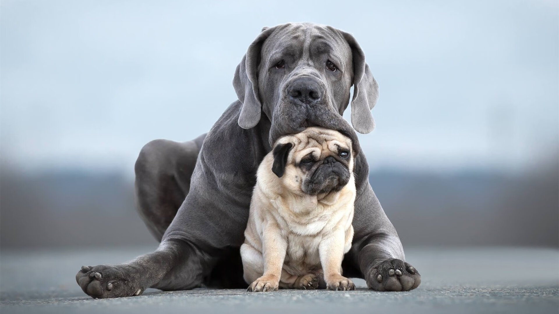 FB体育官方网站-国米主场告捷!保持不败势头,实力有所增强,国米tifo