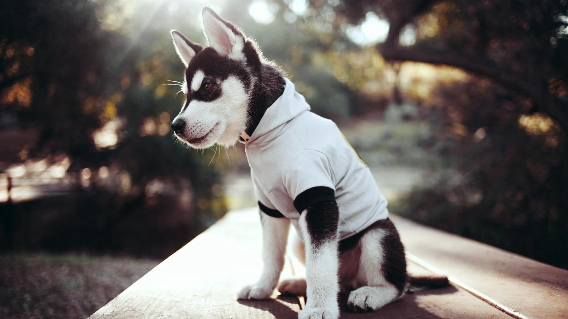 fb体育平台安全-托尔去客场取胜，展现出强队的气质，托尔啥意思