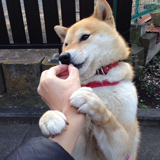 fb体育平台安全-新疆广汇退赛风波持续发酵,新疆广汇队最新消息