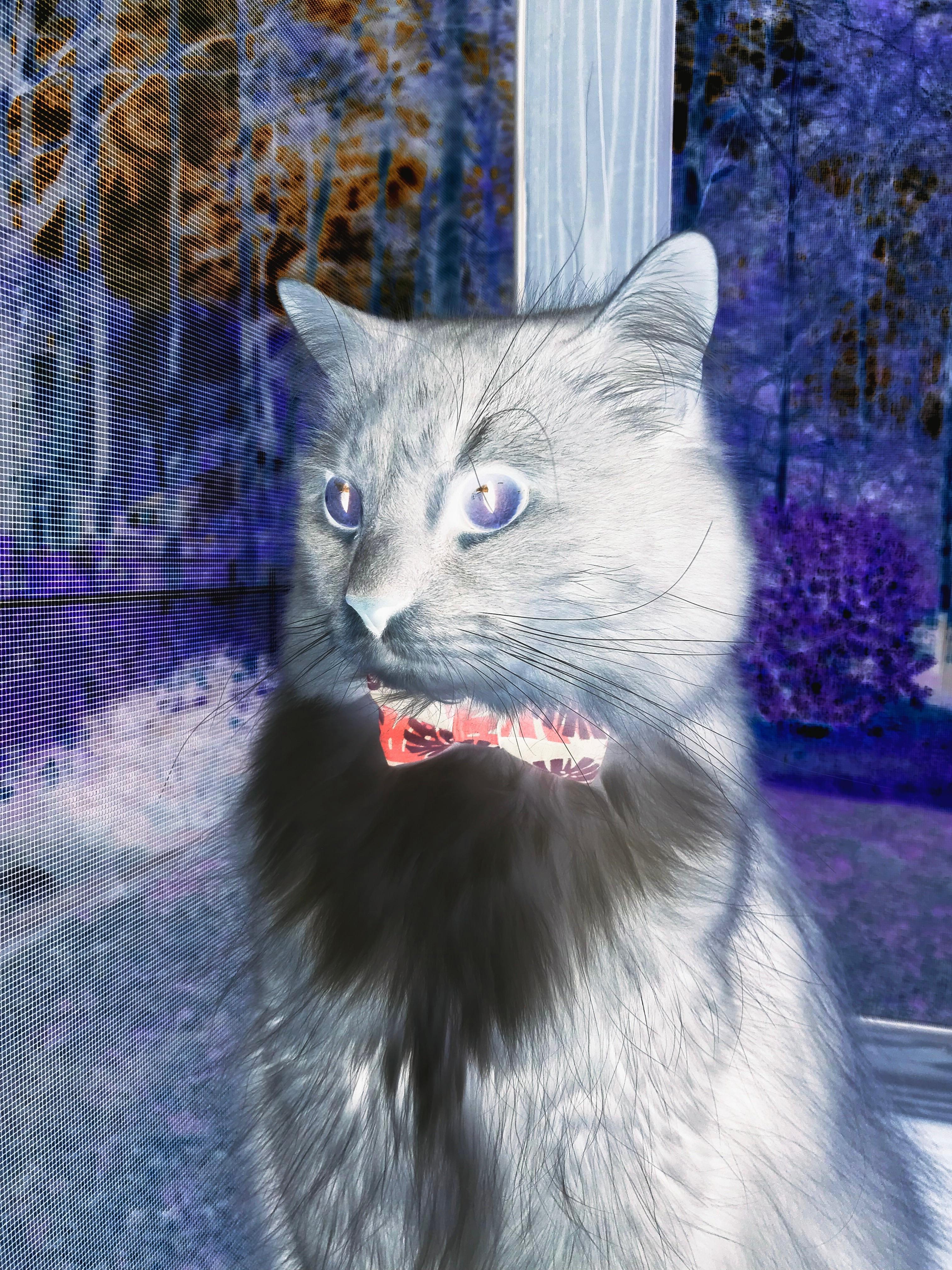 FB体育官网平台-新疆队球员发挥出色，击败对手取得胜利，新疆队打球