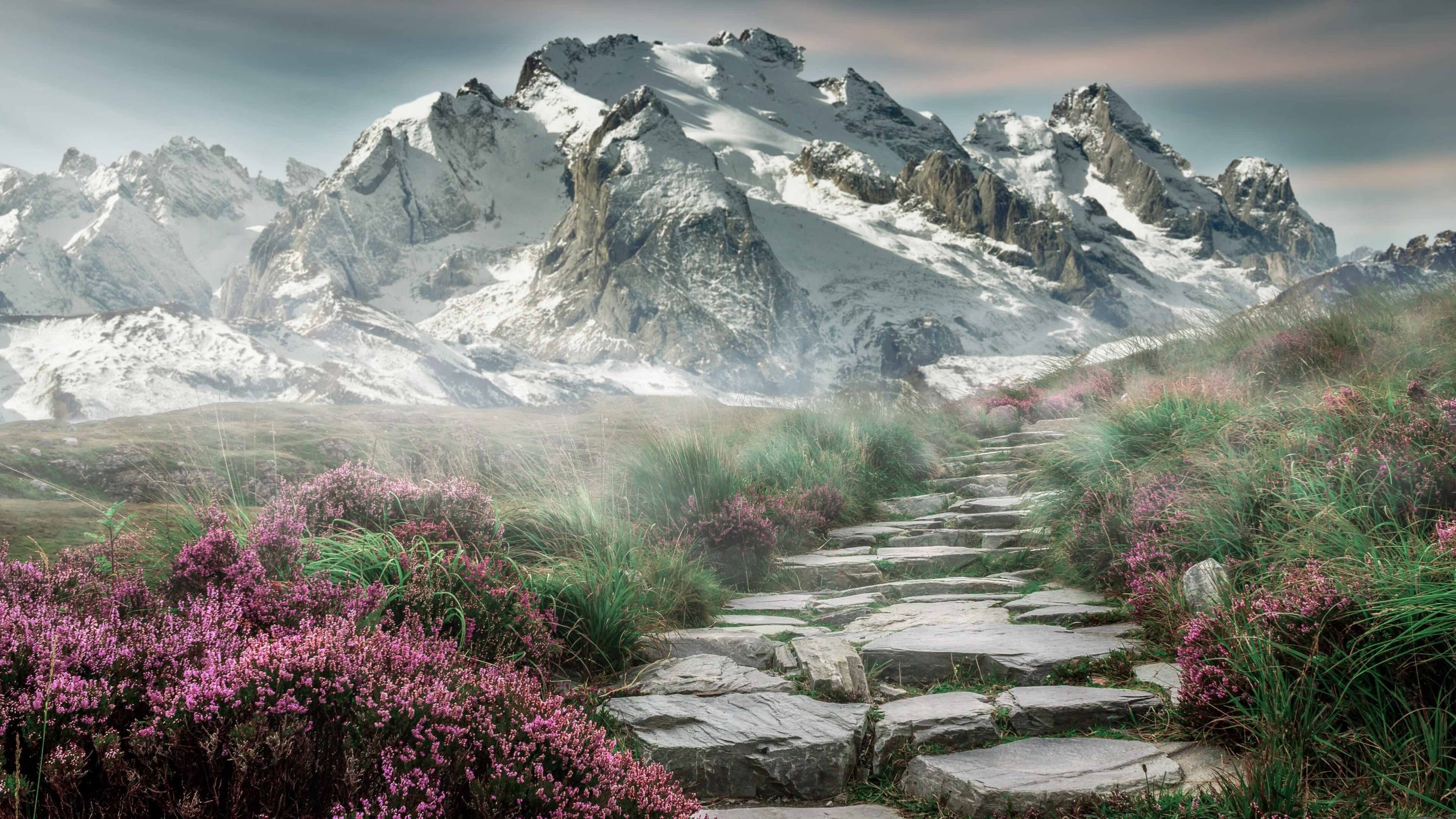 fb体育平台安全-曼城夺得2023-24赛季英超冠军,实现五连冠,曼城 英超 冠军