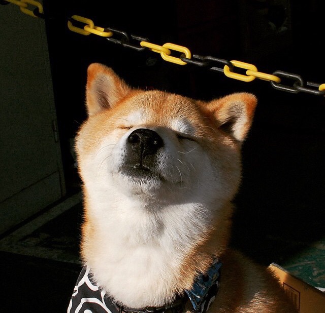 fb体育在线官网-本菲卡、波尔图、葡萄牙体育赛季表现对比,葡萄牙体育vs本菲卡