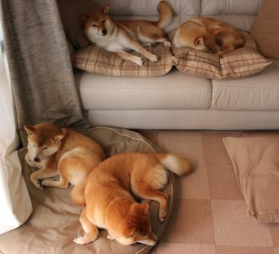 FB体育注册网址-中国篮球教练员职业发展路径规划与实施,2021中国篮球教练员培训