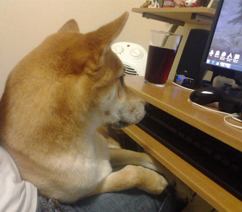 FB体育娱乐-体育赛事品牌价值评估,体育赛事品牌价值评估方法