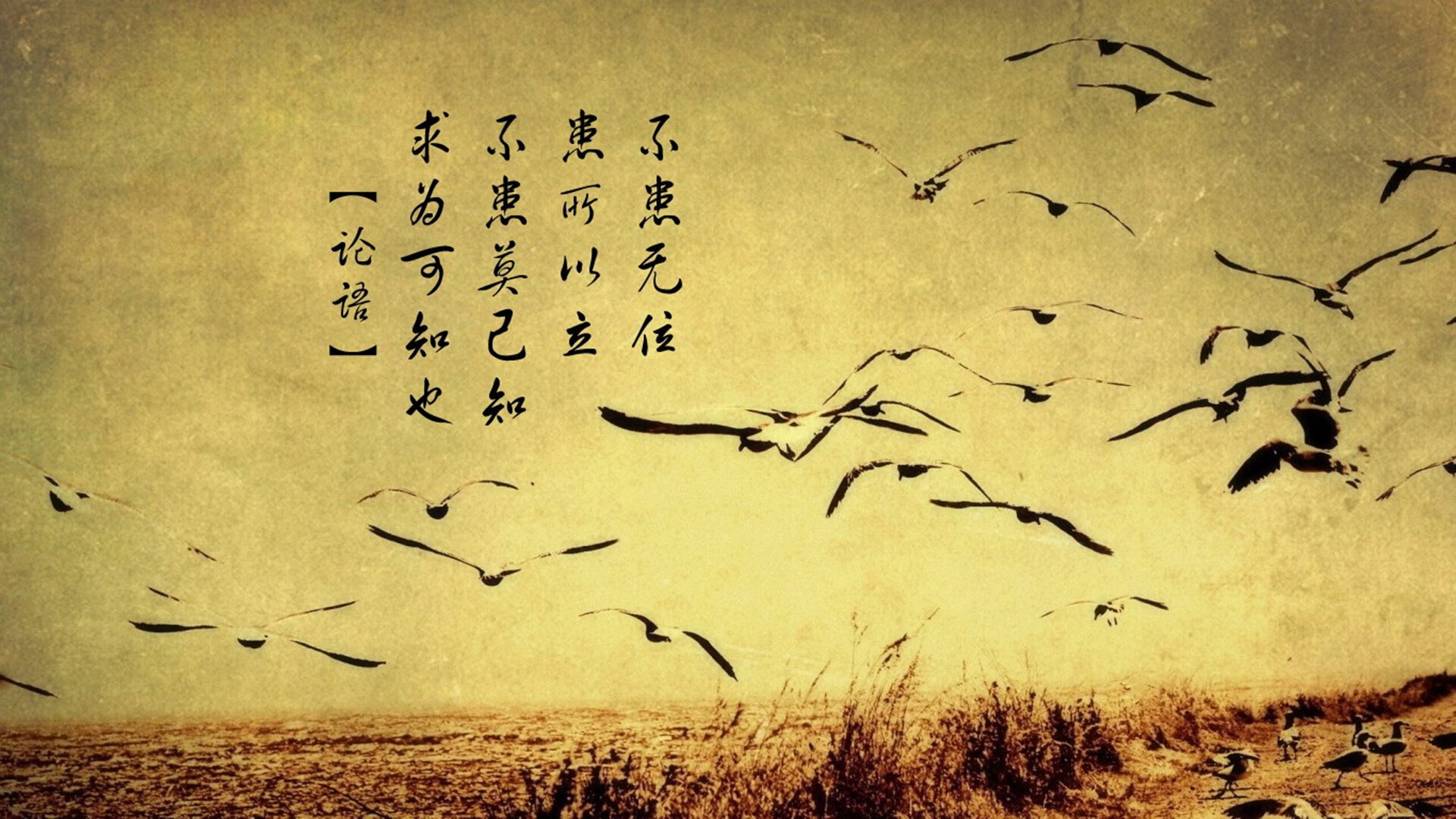 FB体育下载-未来足球学院:打造国际化青训中心,未来足球赛事