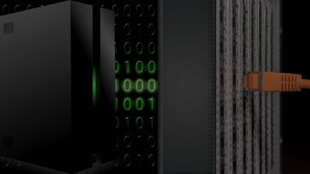 fb体育全站-未来青训:结合大数据分析培养新星