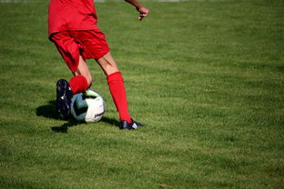 FB体育娱乐-篮球比赛策略智能辅助系统研发与应用,篮球智能训练