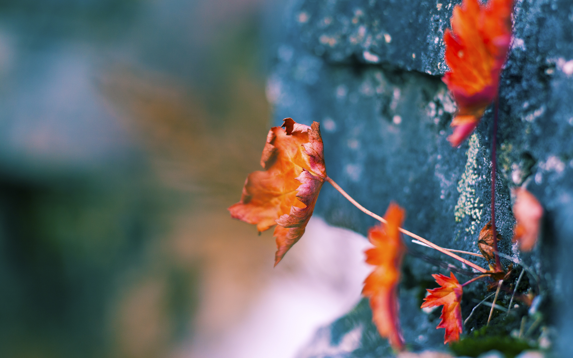 FB体育下载-青少年体育锻炼行为干预机制,青少年体育训练原则