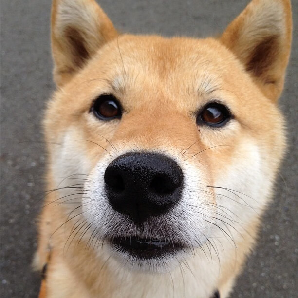 FB体育官方网站-2024年德国队的混合团体世界杯之路:坚定的步伐,德国队备战世界杯