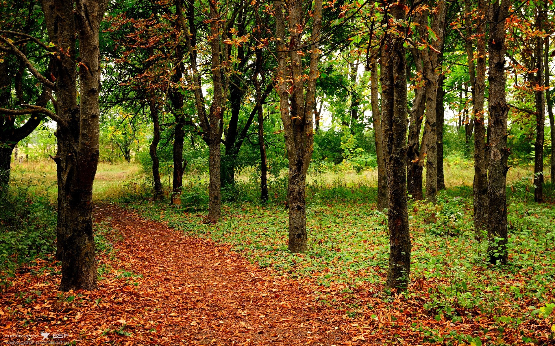 fb体育在线官网-“世界游泳锦标赛新加坡:最值得关注的运动员是谁?”