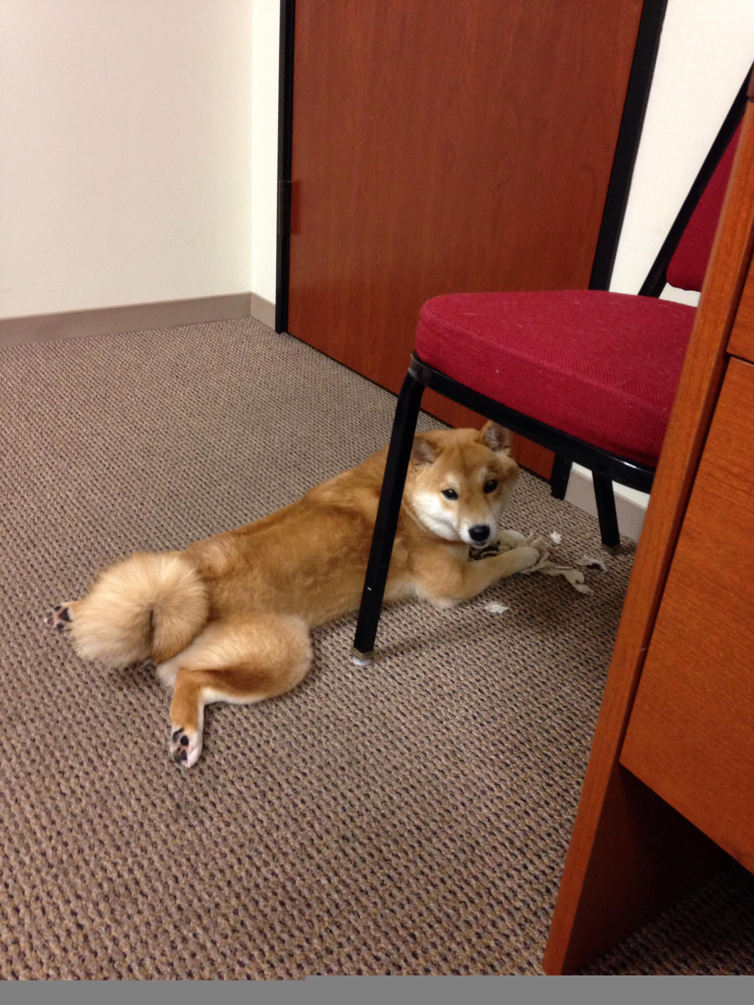 fb体育平台安全-场上对话和沟通是否能直接提高防守效率,场合讲话四个技巧