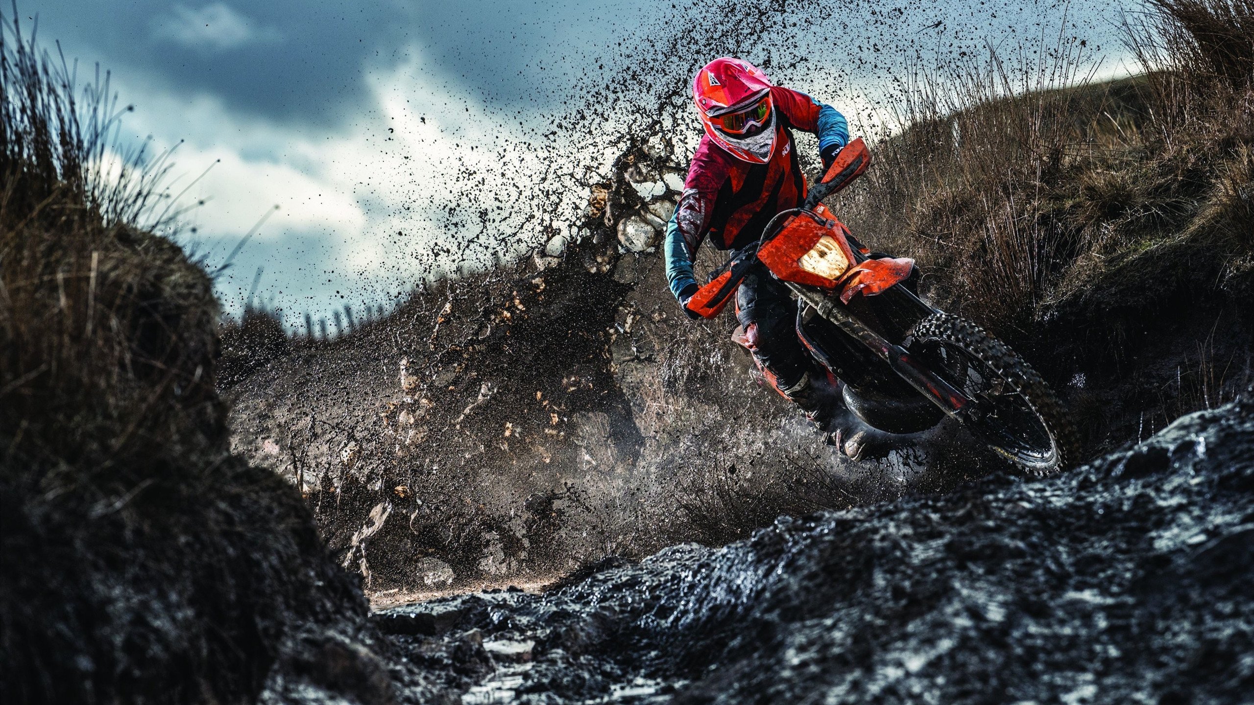 美国马术协会与美洲马术协会合作，举办国际马术交流活动，促进文化互鉴。